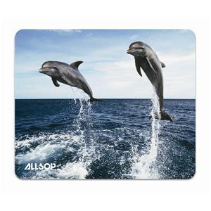 06412_Flying Dolphins.jpg