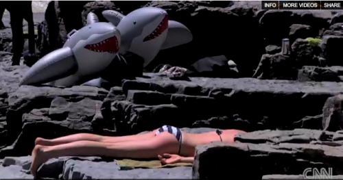 Wyoming sharks.jpg