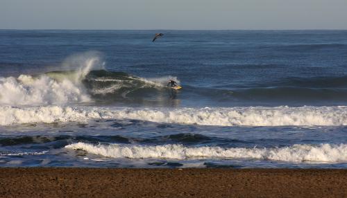 IMG_9568.jpg