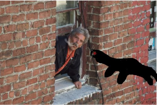 minnawaterweasle.png