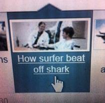 surfer shark.jpg