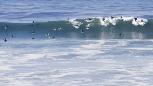 Swamis.jpg