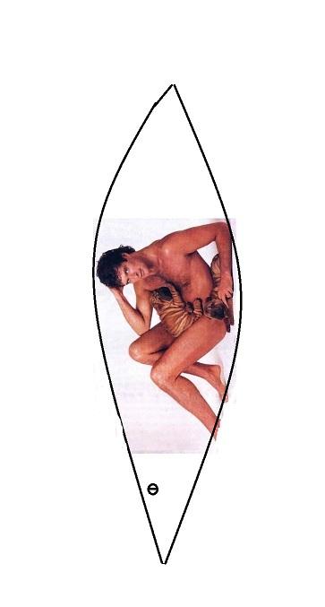 hoff stick 1 new.jpg