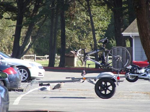 Bike Trailer3.jpg