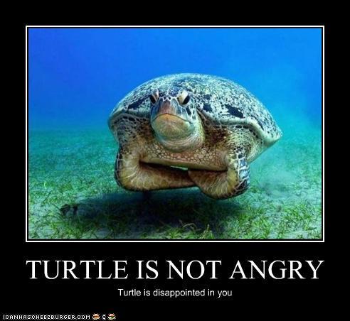 turtledisappoint.jpg