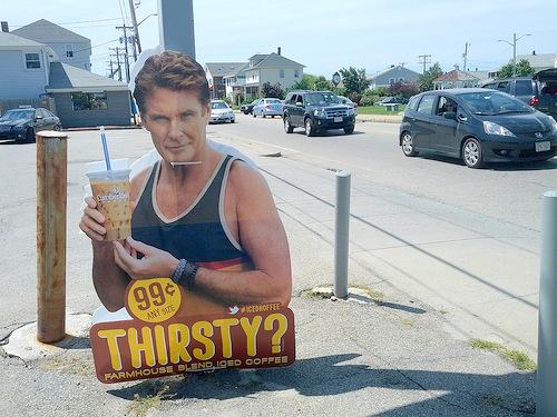 ctm_hasselhoff_071912_244x183.jpg