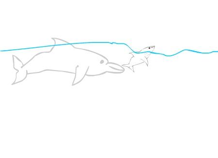 salmondolphin.jpg