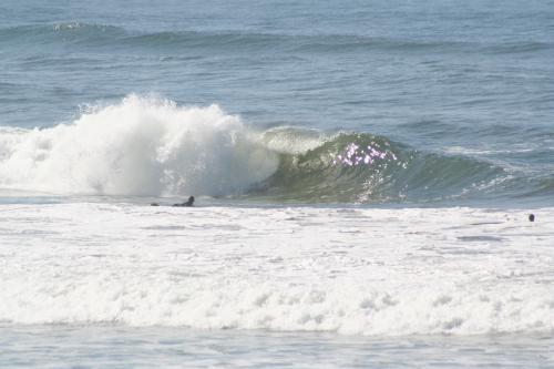 Picture of october sessions 045.jpg