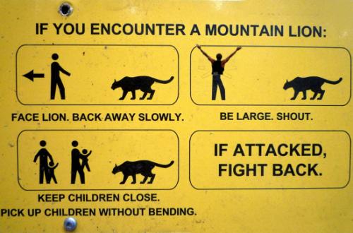 Mountain-Lion-Warning-Sign.jpg
