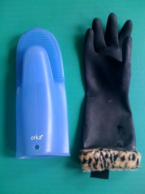 photo.jpg