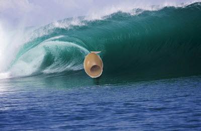 PITTED.jpg