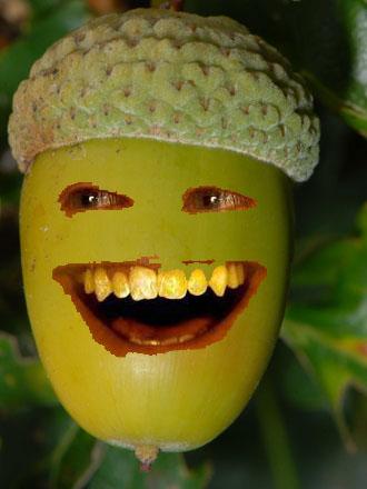 angry~Acorn.jpg