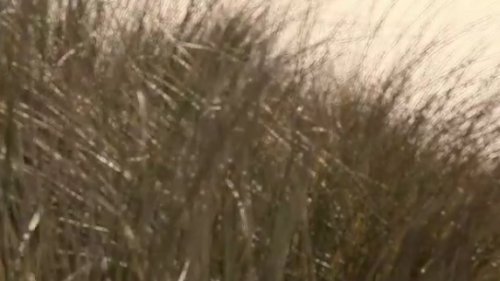 2011-12-21_2024.png