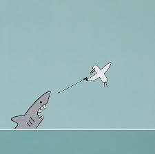SEA.jpg