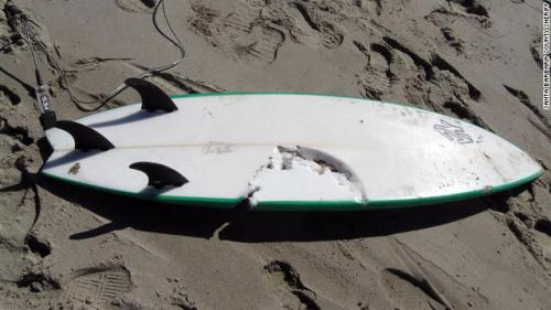 121025013713-shark-attack-california-story-top.jpg
